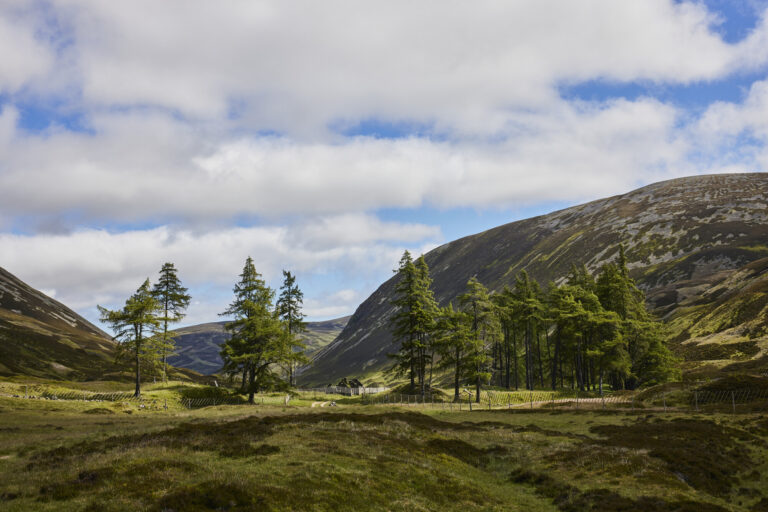 RS34758_LandManagement_©EdSmith 9_lpr
