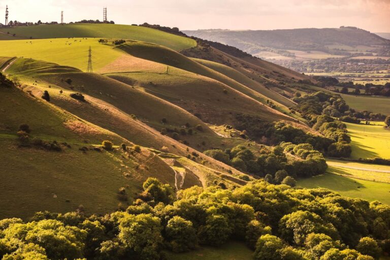 south-downs-np-by-Sam-Moore-give-credit